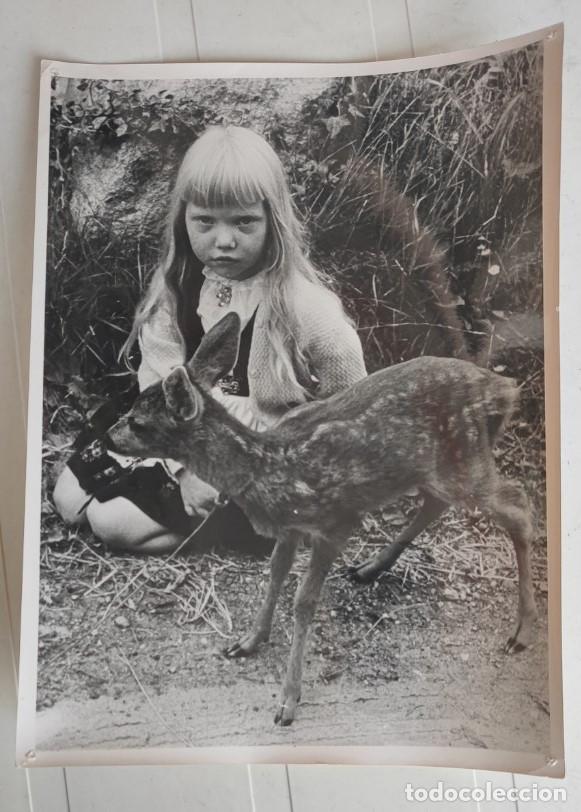 Fotograf&iacute;a antigua: NI&Ntilde;A CON UN CERVATILLO HACIA 1968, FOTOGRAFIA, 20,5 X 15,5 CM