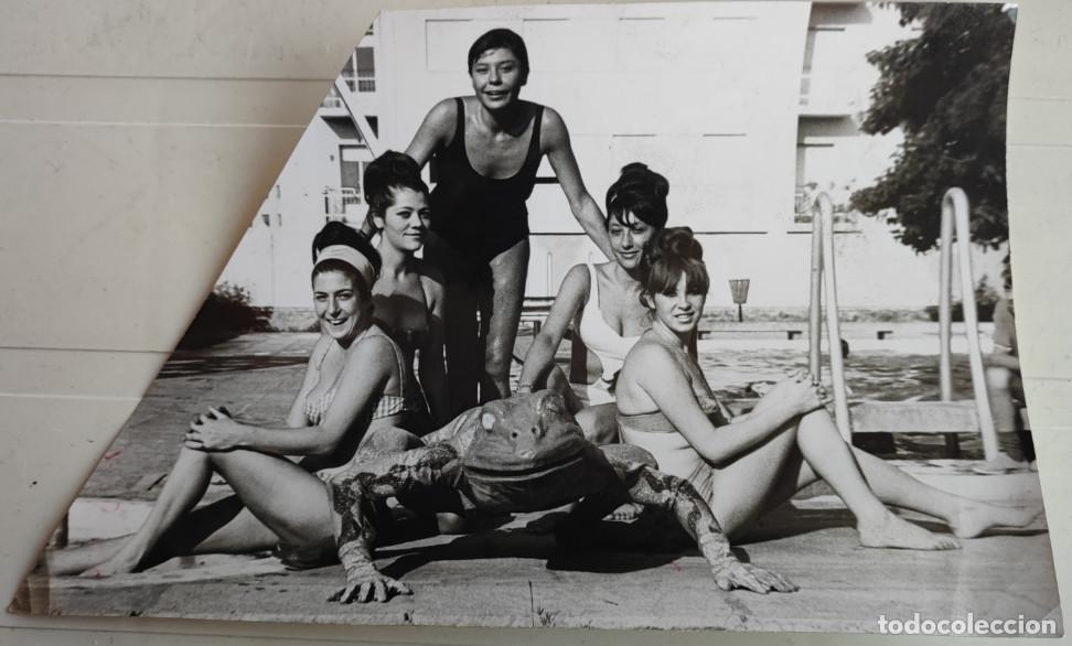 Fotograf&iacute;a antigua: FOTOGRAFIA DEL ANUNCIO CALZADO LA RANA VERDE RODADO EN MURCIA EN LOS A&Ntilde;OS 60, 22 X 14 CM