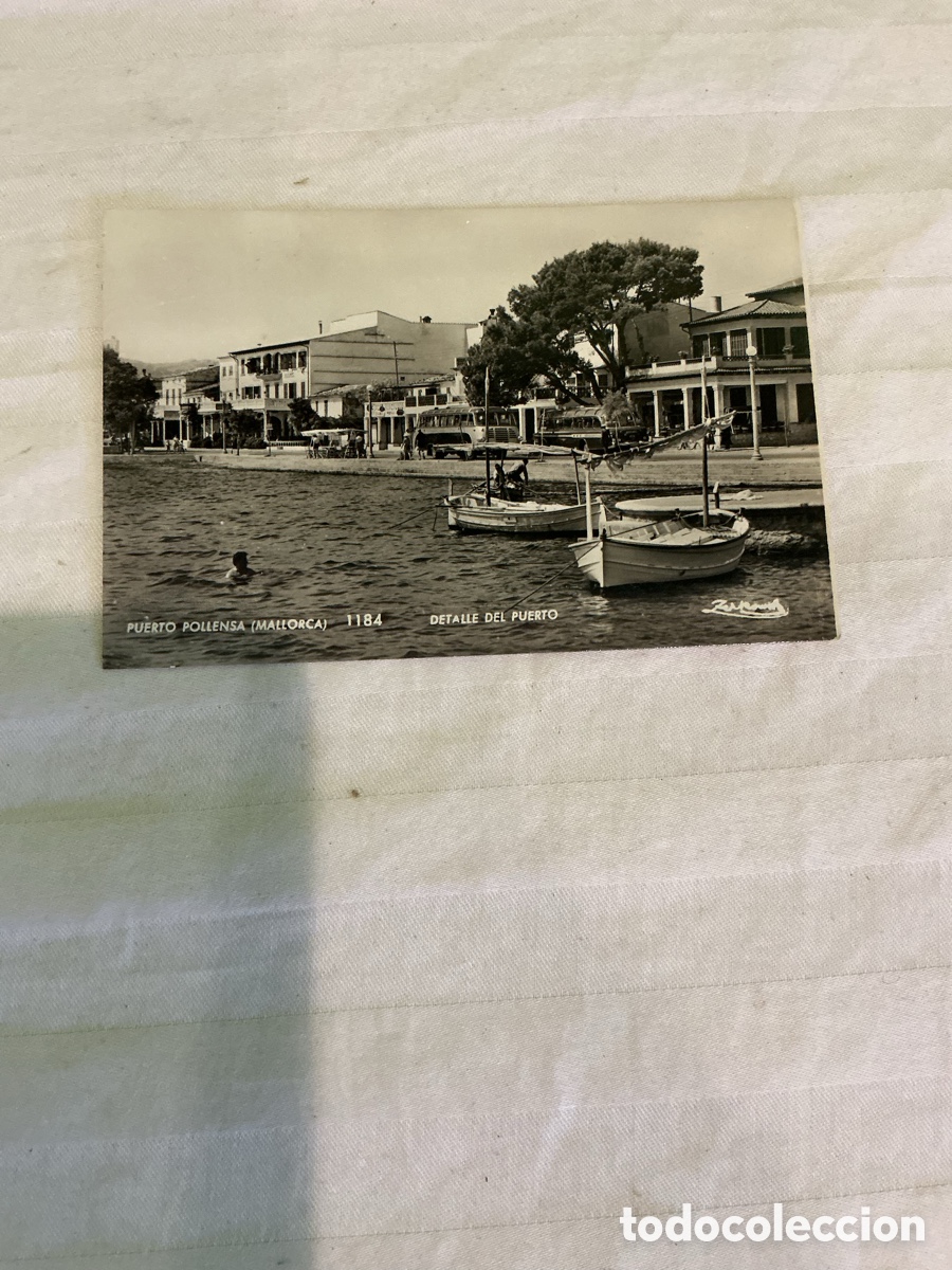 Fotograf&iacute;a antigua: Postal Puerto Pollensa, Mallorca. Zerkowitz n&ordm; 1184. Escrita en 1960.