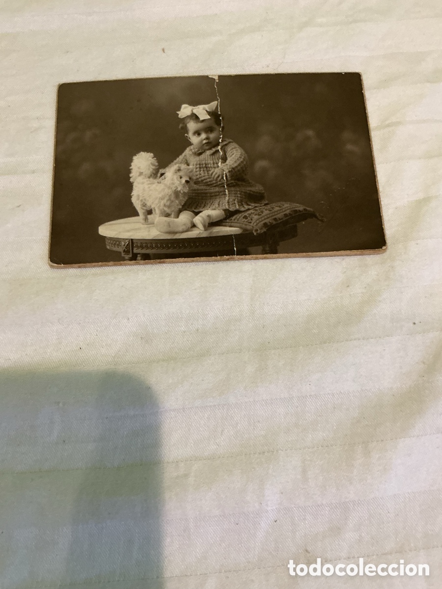 Fotograf&iacute;a antigua: Antigua fotograf&iacute;a postal beb&eacute; con perro de juguete &ndash; Modern Studi Pellicer Barcelona 1923