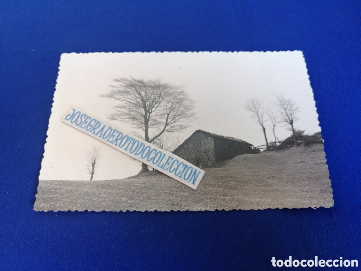 Fotograf&iacute;a antigua: VALLE DEL TURON (MIERES) ASTURIAS FOTOGRAF&Iacute;A ANTIGUA SIGLO PASADO