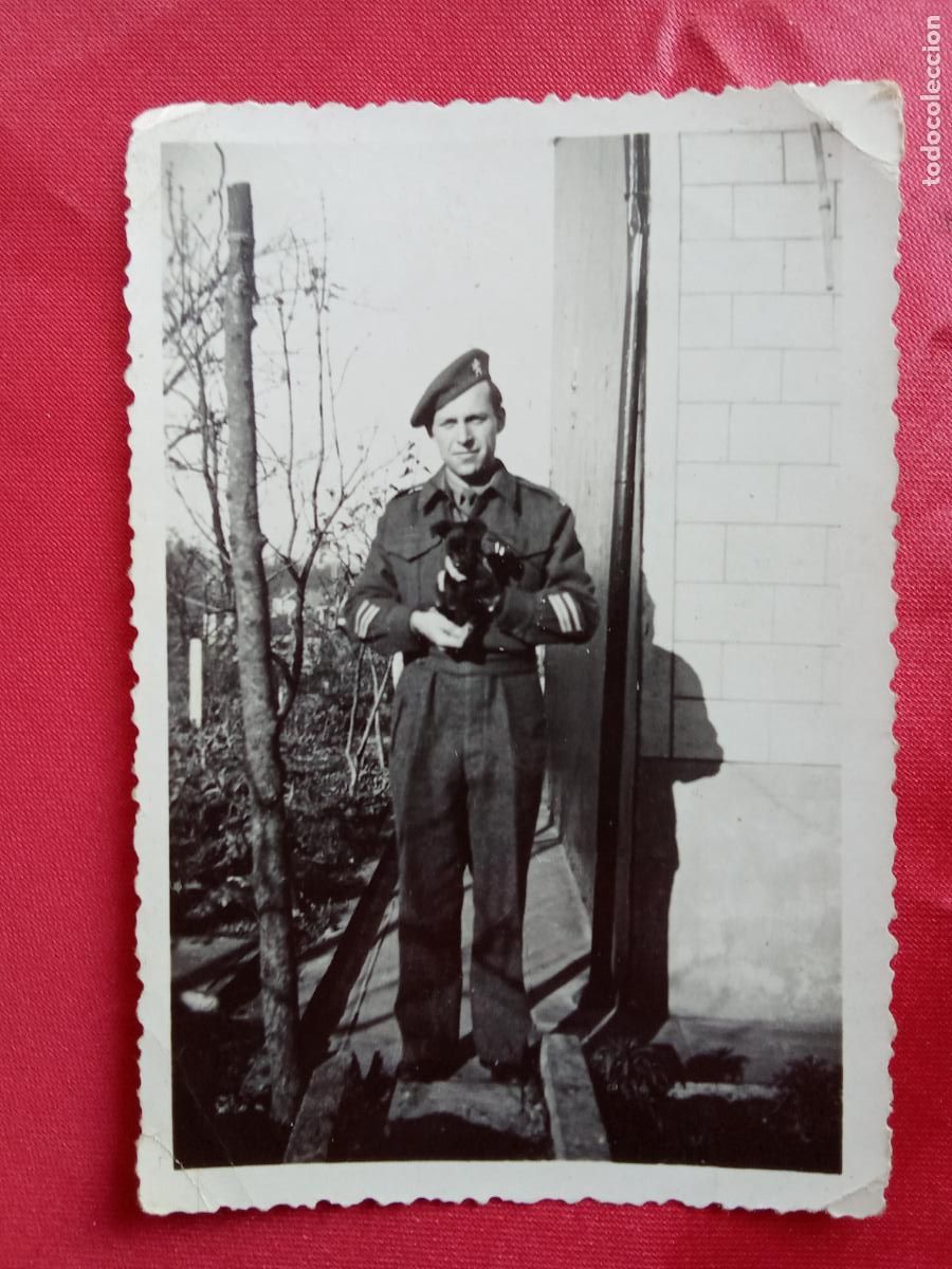 Fotograf&iacute;a antigua: Fotograf&iacute;a soldado belga con perro cachorro P.1340