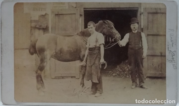 Photographie ancienne: Poniendo herraduras al caballo. Charles Tyler