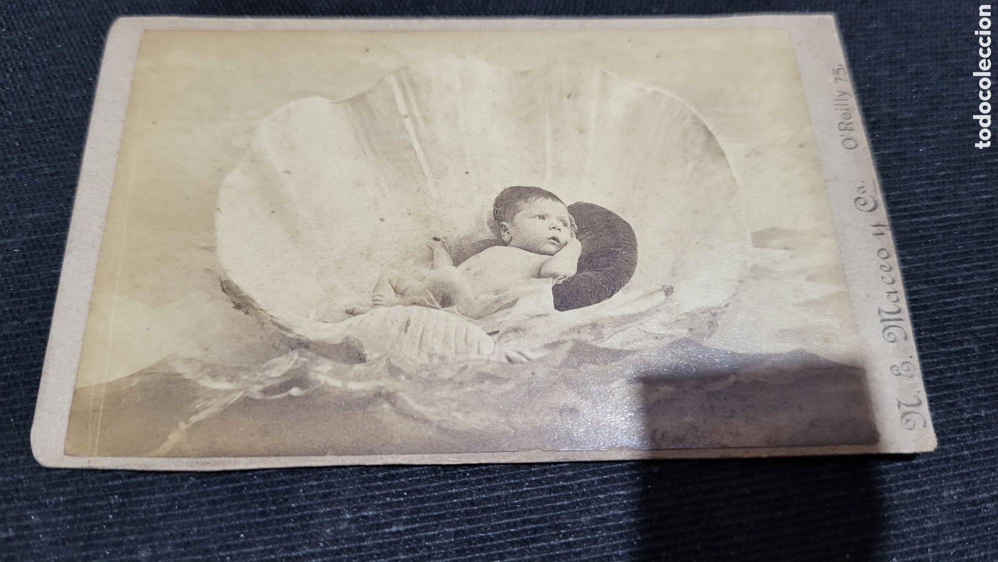 Antique Photography: Fotograf&iacute;a antigua alb&uacute;mina