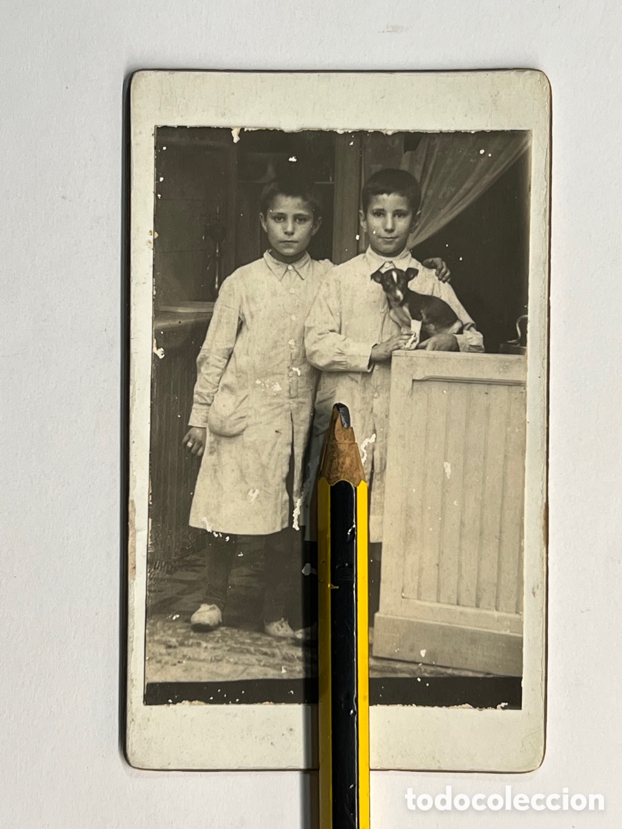 Fotografia antica: CDV. Carte de Visite. Fotografia Ant&iacute;gua L&oacute;s Ni&ntilde;os del Chihuahua.. (h.1930?)