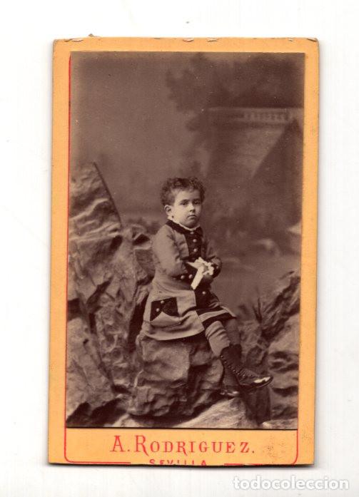 Alte Fotografie: CARTE DE VISITE. ESTUDIO FOTOGR&Aacute;FICO. A. RODR&Iacute;GUEZ, CALLE SIERPES 14, SEVILLA.