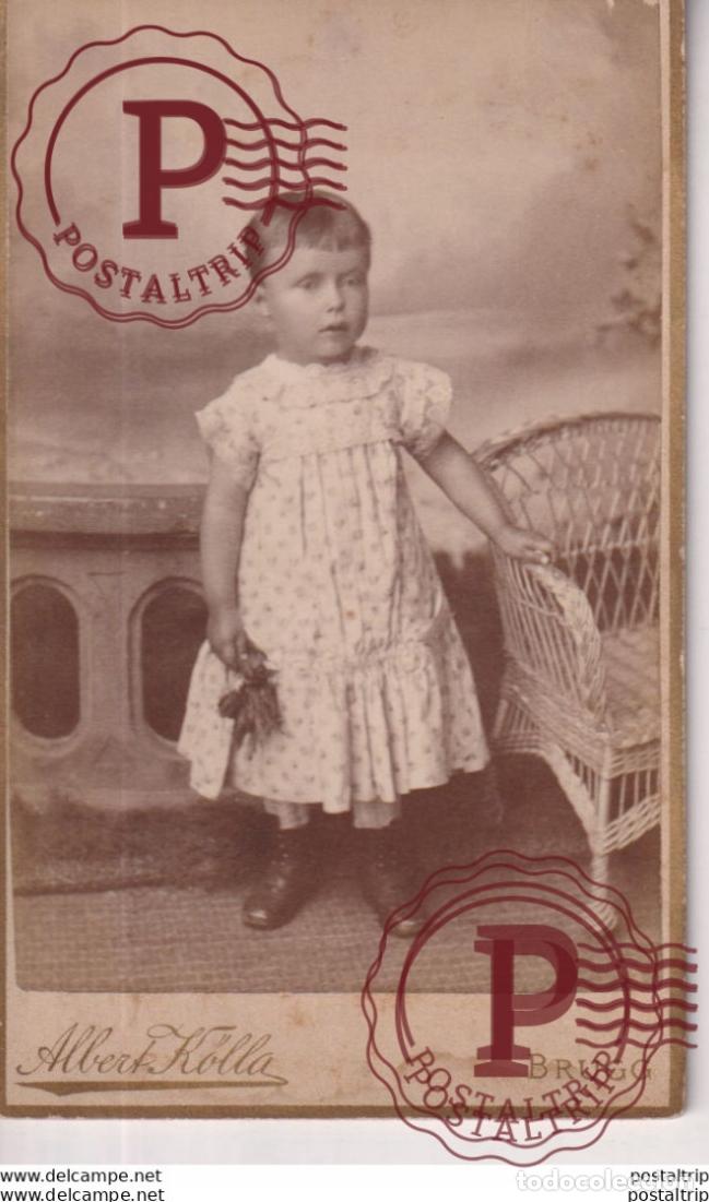 Fotograf&iacute;a antigua: ALBERT K&Ouml;LLA. BRUGG +-10.5*6.5CM CDV