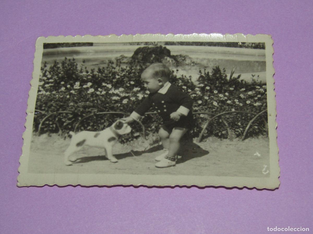 Fotograf&iacute;a antigua: Antigua Fotograf&iacute;a de Ni&ntilde;o con Perro de Juguete por Fot&oacute;grafo PALOMERA de Alcoy