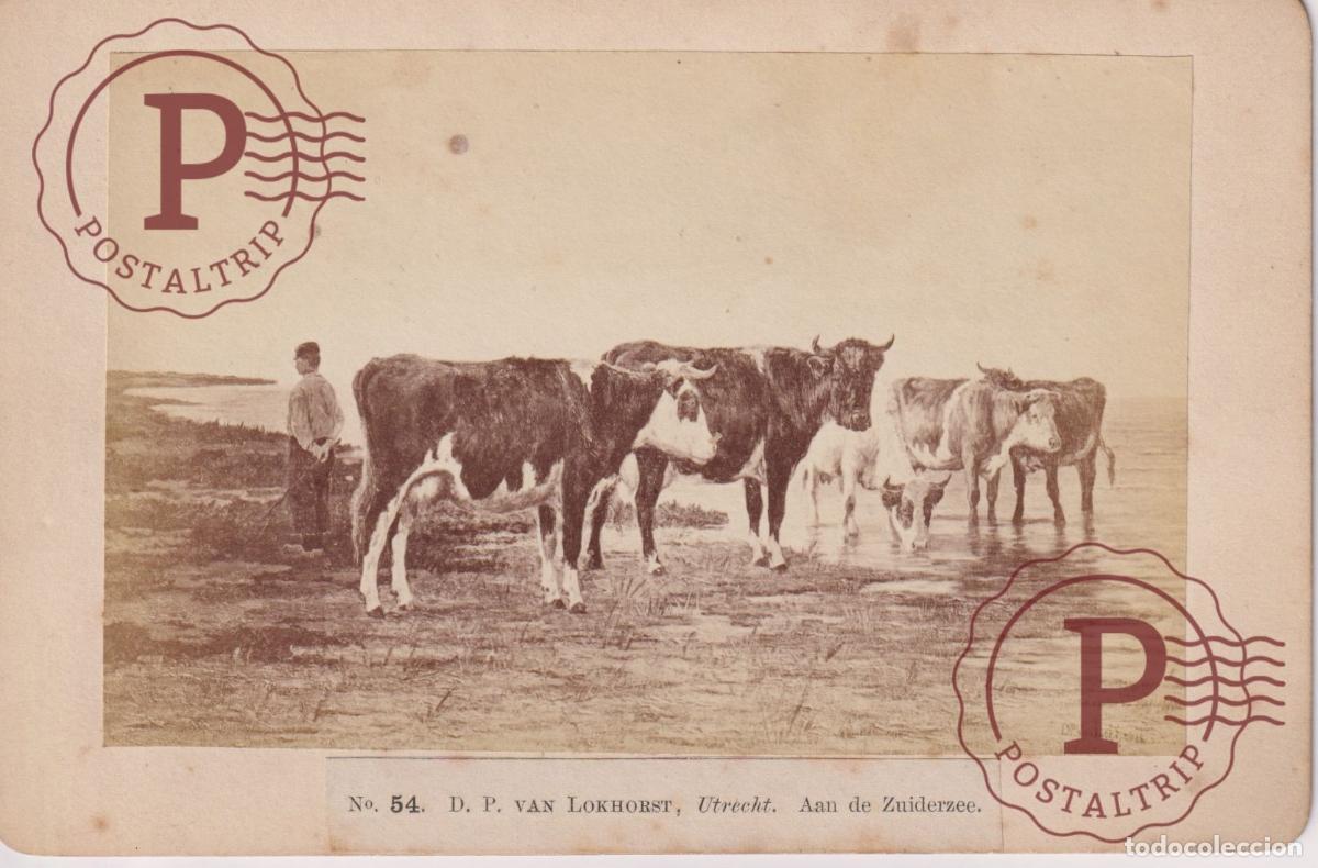 Fotograf&iacute;a antigua: NR54 D P VAN LOCKHORST UTRECHT AAN DE ZUIDERZEE WEGNER MOTTU AMSTERDAM +-16,5*11CM CABINET