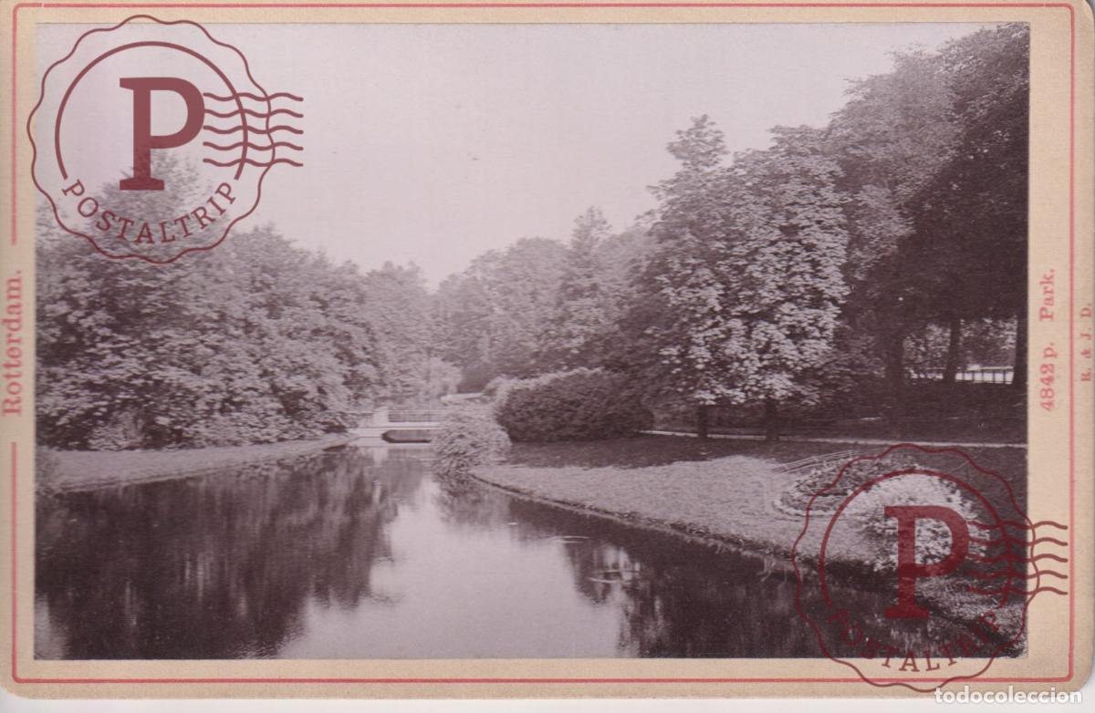Fotograf&iacute;a antigua: NETHERLAND. PAISES BAJOS. ROTTERDAM. PARK. CABINET 17X11CM