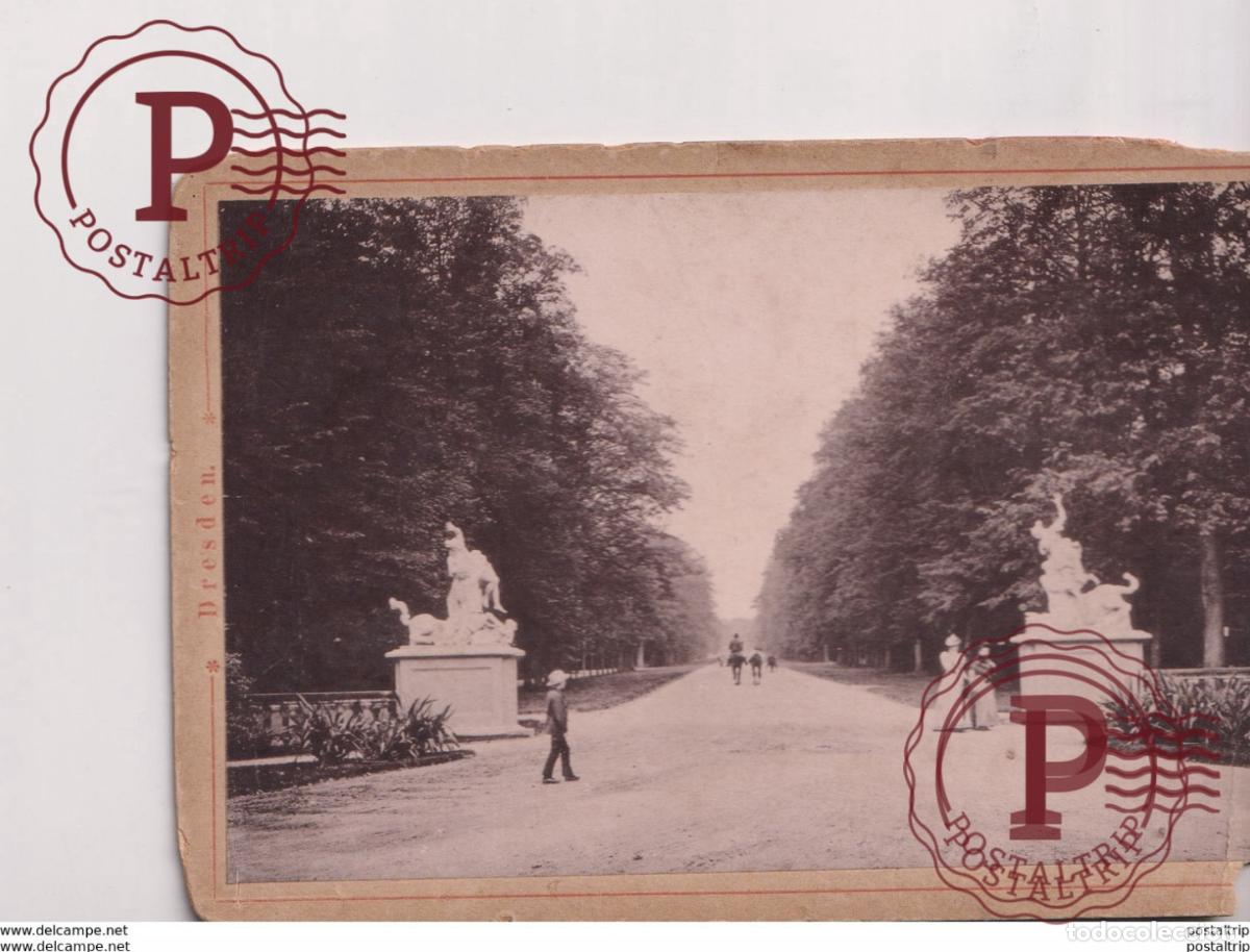 Fotograf&iacute;a antigua: EDAD ALEMANIA SAJONA DRESDEN GERMANY DEUTSCHLAND cabinet photograph 15*10CM Fonds Victor FORBIN