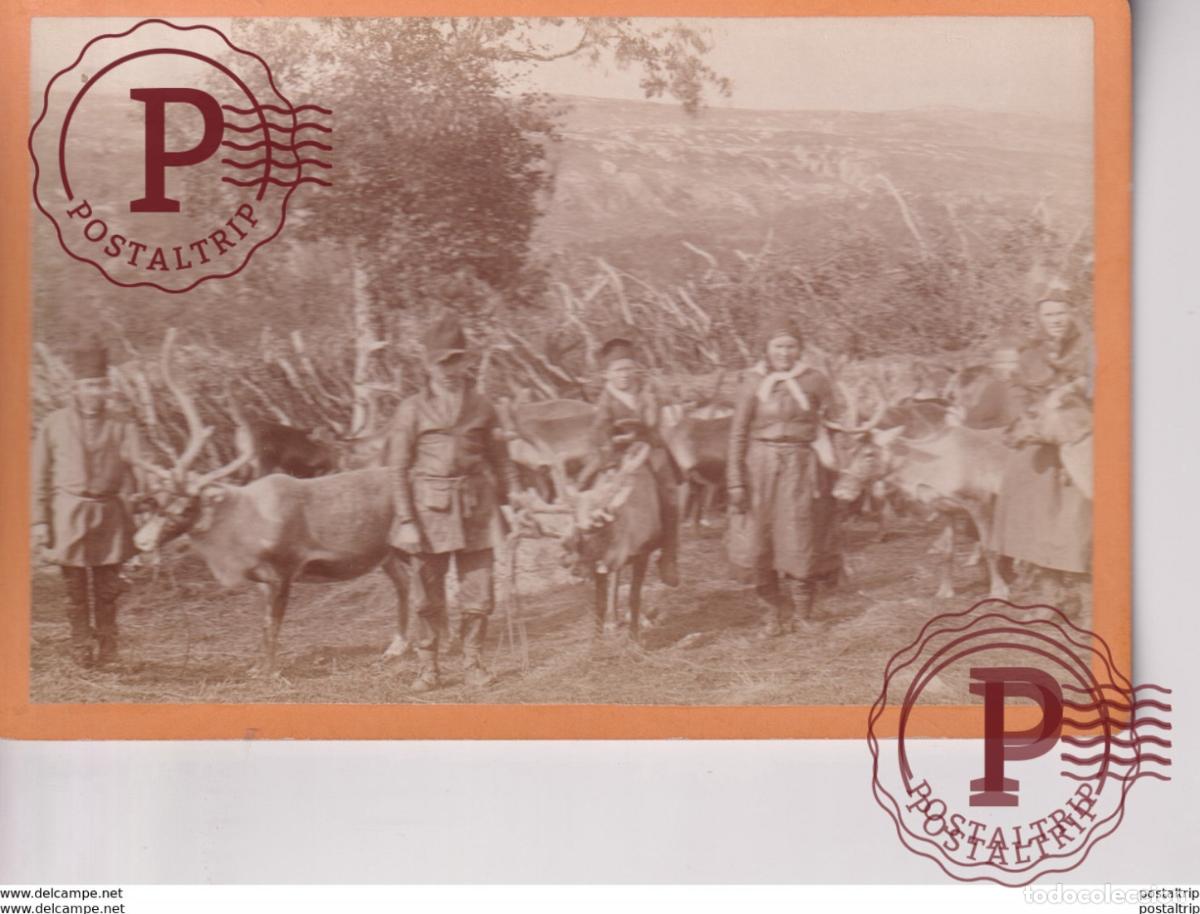 Fotograf&iacute;a antigua: A OLSON OSTERSUND Sweden? NORWAY? reindeer shepherds RENHJORD VID MIDDAGSFJELL 16*10CM Fonds Victor