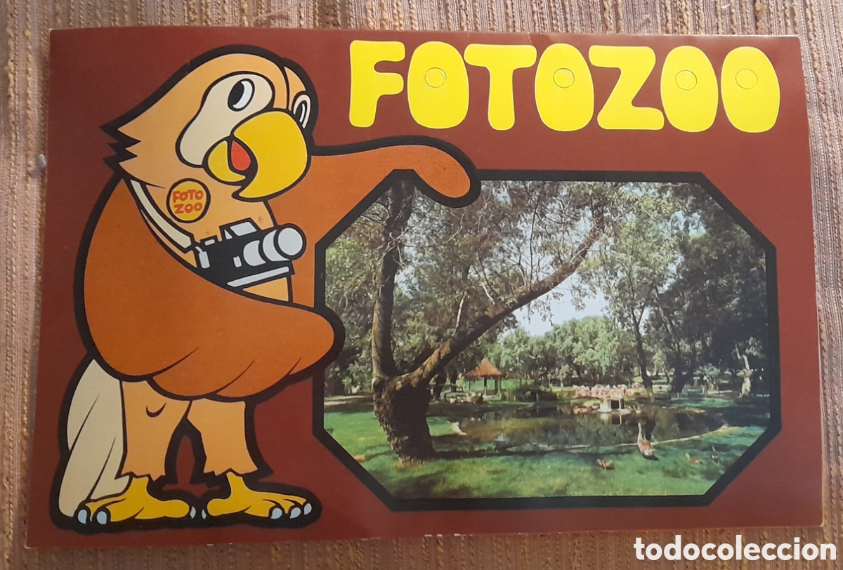 Fotograf&iacute;a antigua: FOTOZOO del Zoo de la Casa de Campo de Madrid a&ntilde;os 80