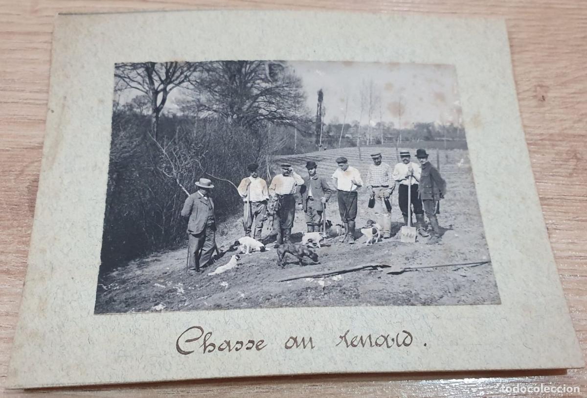 Fotograf&iacute;a antigua: FRANCIA. FRANCE. CHASSE AU HENARD. CAZA. HUNT. +- 11.5X9CM