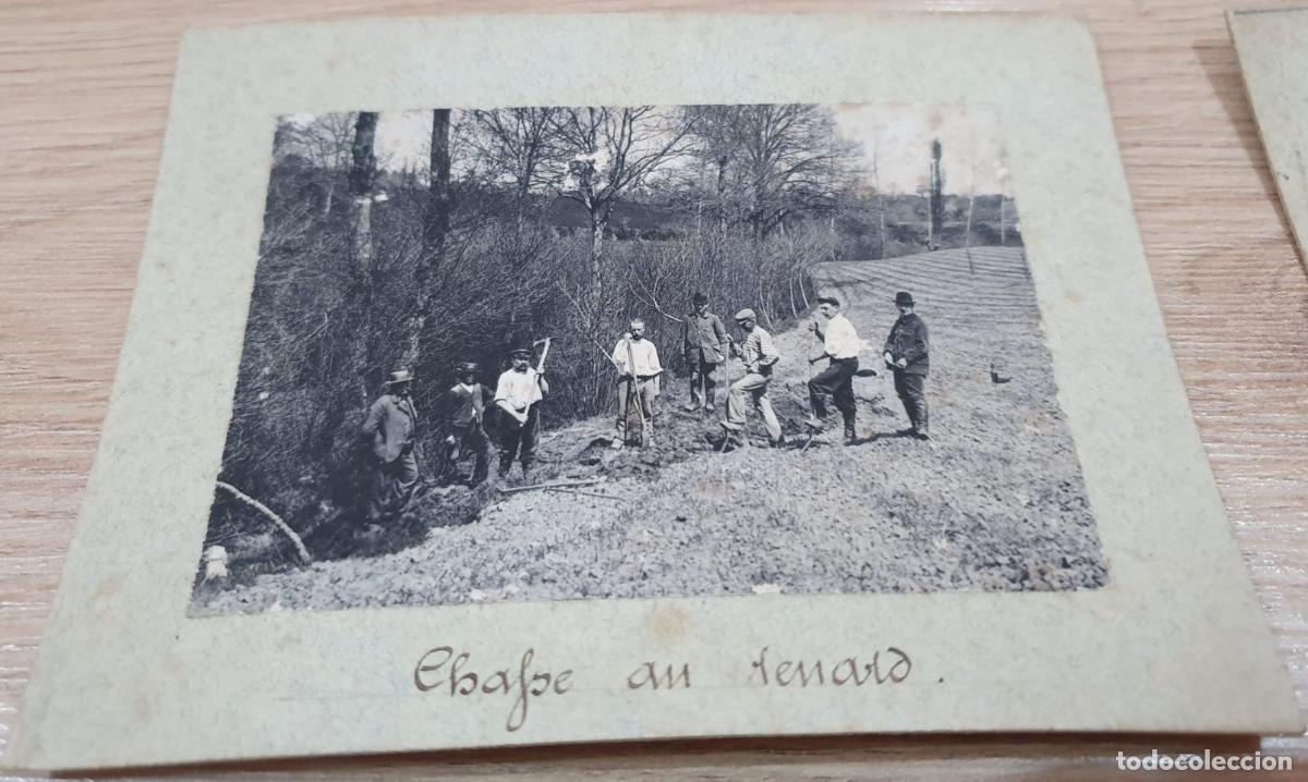 Fotograf&iacute;a antigua: FRANCIA. FRANCE. CHASSE AU HENARD. CAZA. HUNT. +- 11.5X9CM
