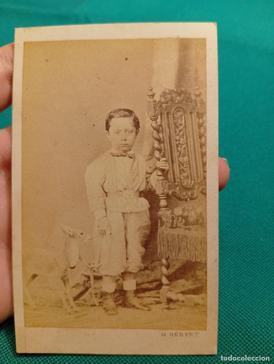 Fotograf&iacute;a antigua: Foto CDV ni&ntilde;o posando cervatillo Madrid mitad XIX hebert fot real casa