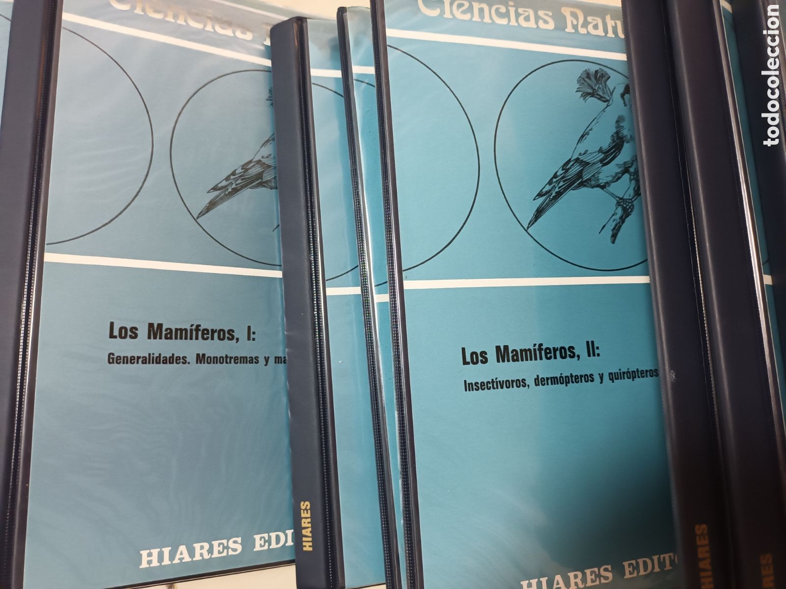Fotograf&iacute;a antigua: EDITORIAL HIARES DIAPOSITIVAS MAS CARGADORES + TRANSPARENCIAS 29 LIBROS CIENCIAS BOTANICA ZOOLOGIA