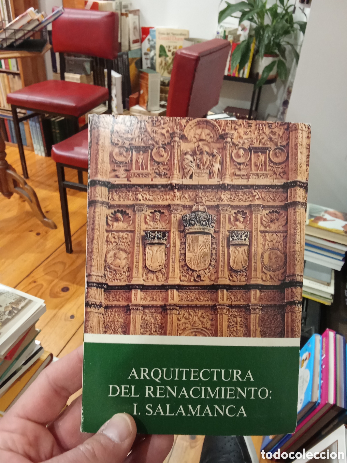 Fotograf&iacute;a antigua: Diapositivas Arquitectura del Renacimiento I Salamanca