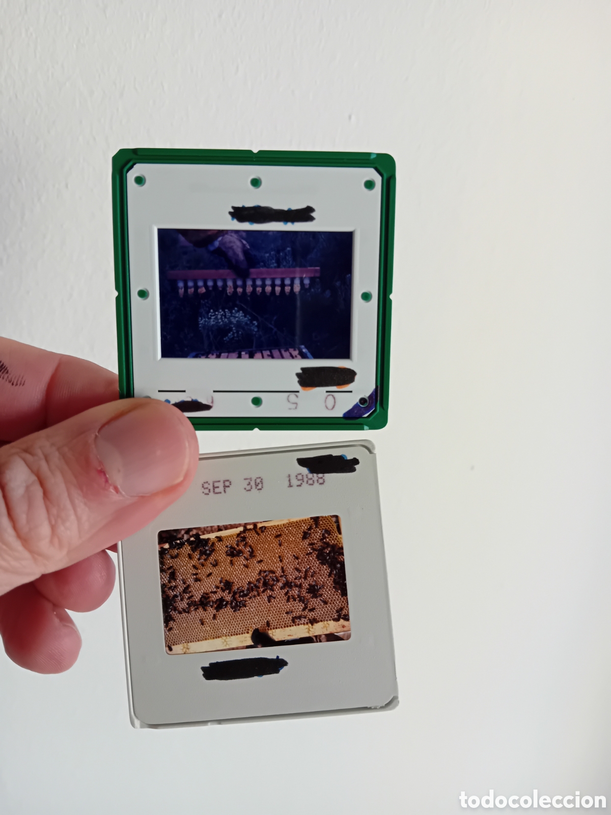 Fotograf&iacute;a antigua: CUATRO DIAPOSITIVAS 35MM APICULTURA ABEJAS MIEL APICULTOR. 1988. FOTOGRAF&Iacute;A PROFESIONAL