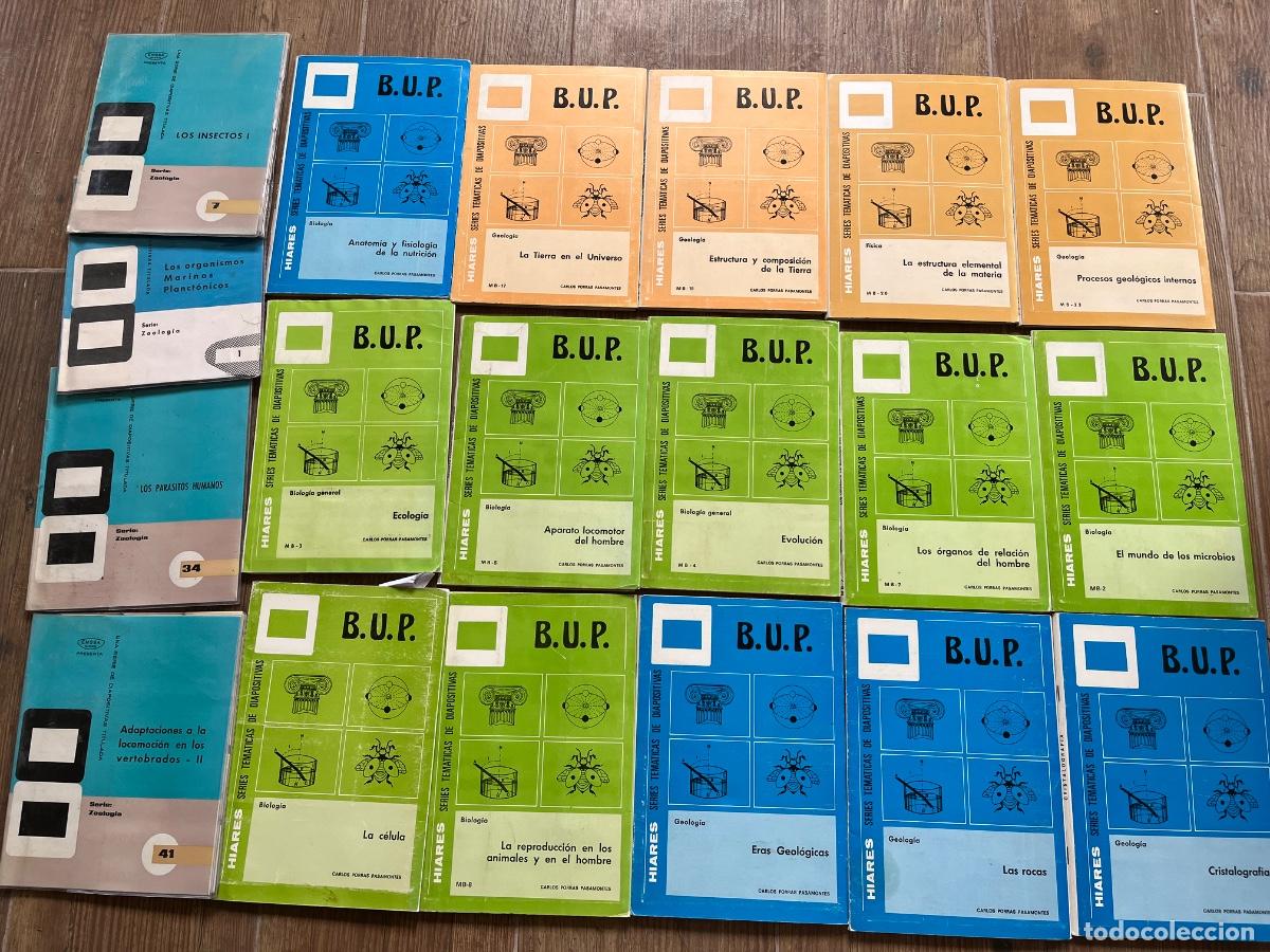 Fotograf&iacute;a antigua: M&Aacute;S DE 500 ANTIGUAS DIAPOSITIVAS ENOSA Y HIARES - BUP - GEOLOG&Iacute;A ZOOLOG&Iacute;A BIOLOGIAU