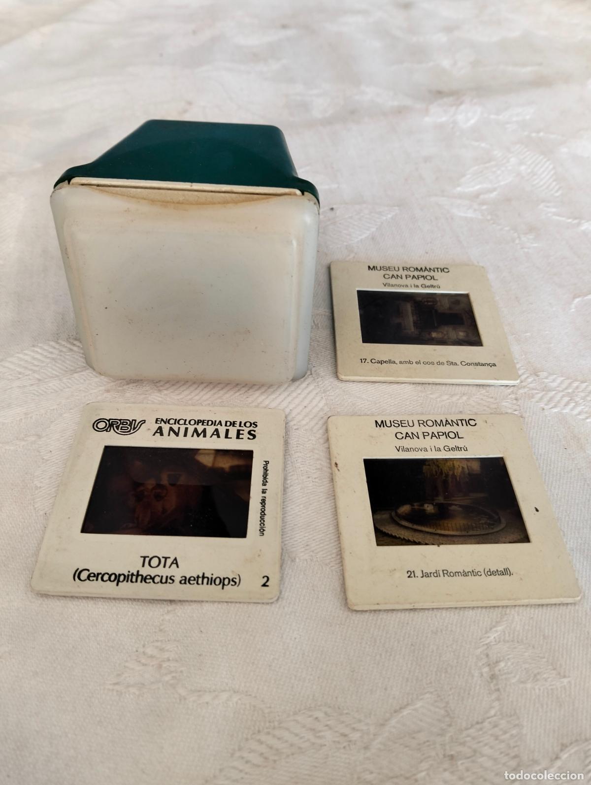 Fotografia antiga: Lote visor y 3 diapositivas museu rom&agrave;ntic can papiol Vilanova i la Geltr&uacute; enciclopedia de animales