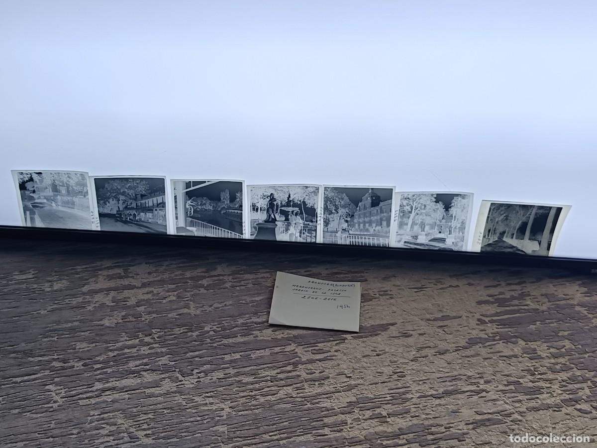 Antique Photography: Lote de Antiguos Negativos de Acetato, Aranjuez, 1954