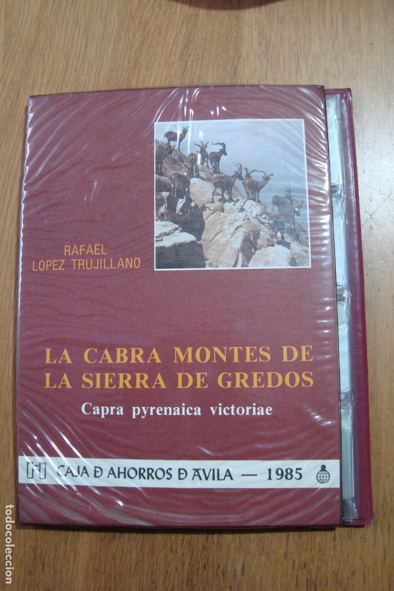 Fotograf&iacute;a antigua: RAFAEL LOPEZ TRUJILLANO. LA CABRA MONTES DE SIERRA DE GREDOS. CAJA AHORROS AVILA 1985 DIAPOSITIVAS