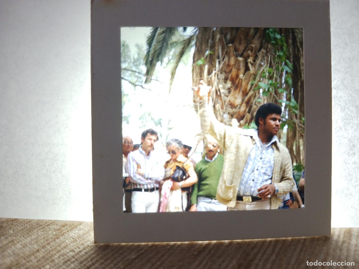 Antique Photography: antigua diapositiva 7 x 7 cm. interior de marruecos, turistas miran a indigena sujeta gran lagarto