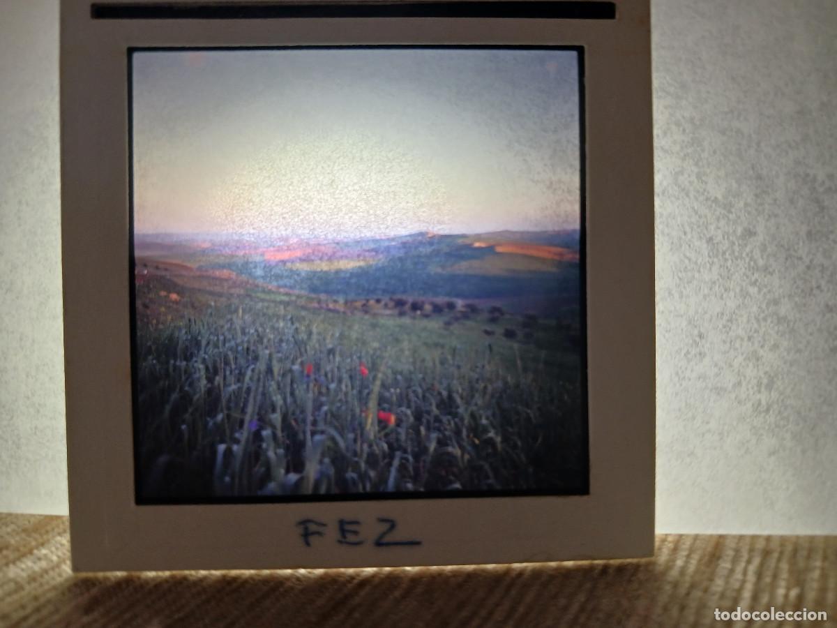 Fotograf&iacute;a antigua: antigua diapositiva 7 x 7 cm. amanecer en los campos de fez, marruecos