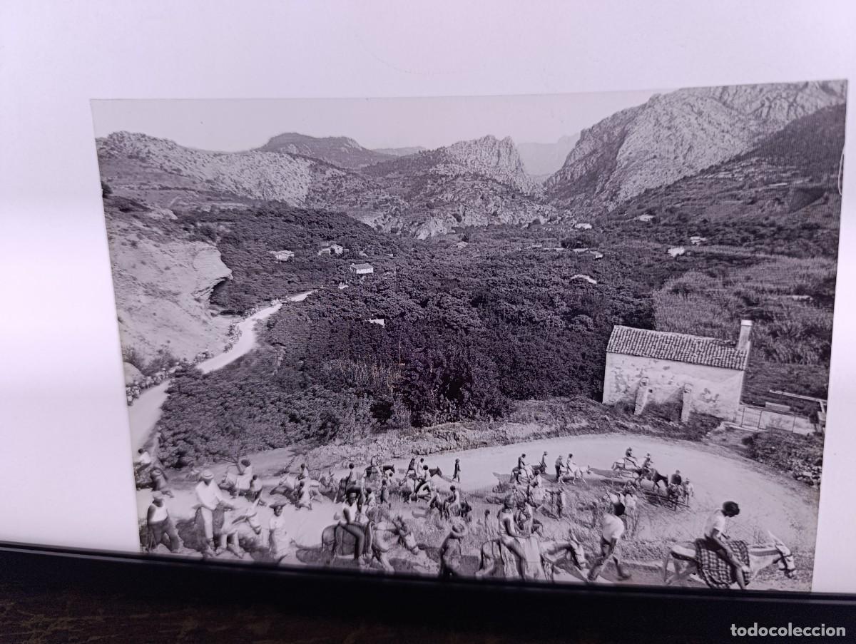 Fotografia antica: Antiguo Negativo de Acetato, R&iacute;o Algar, unos 16 x 11 cms.