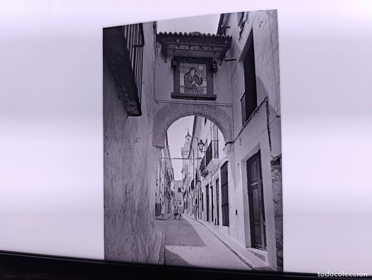 Fotografia antica: Antiguo Negativo de Acetato, Oliva, unos 15 x 11 cms.