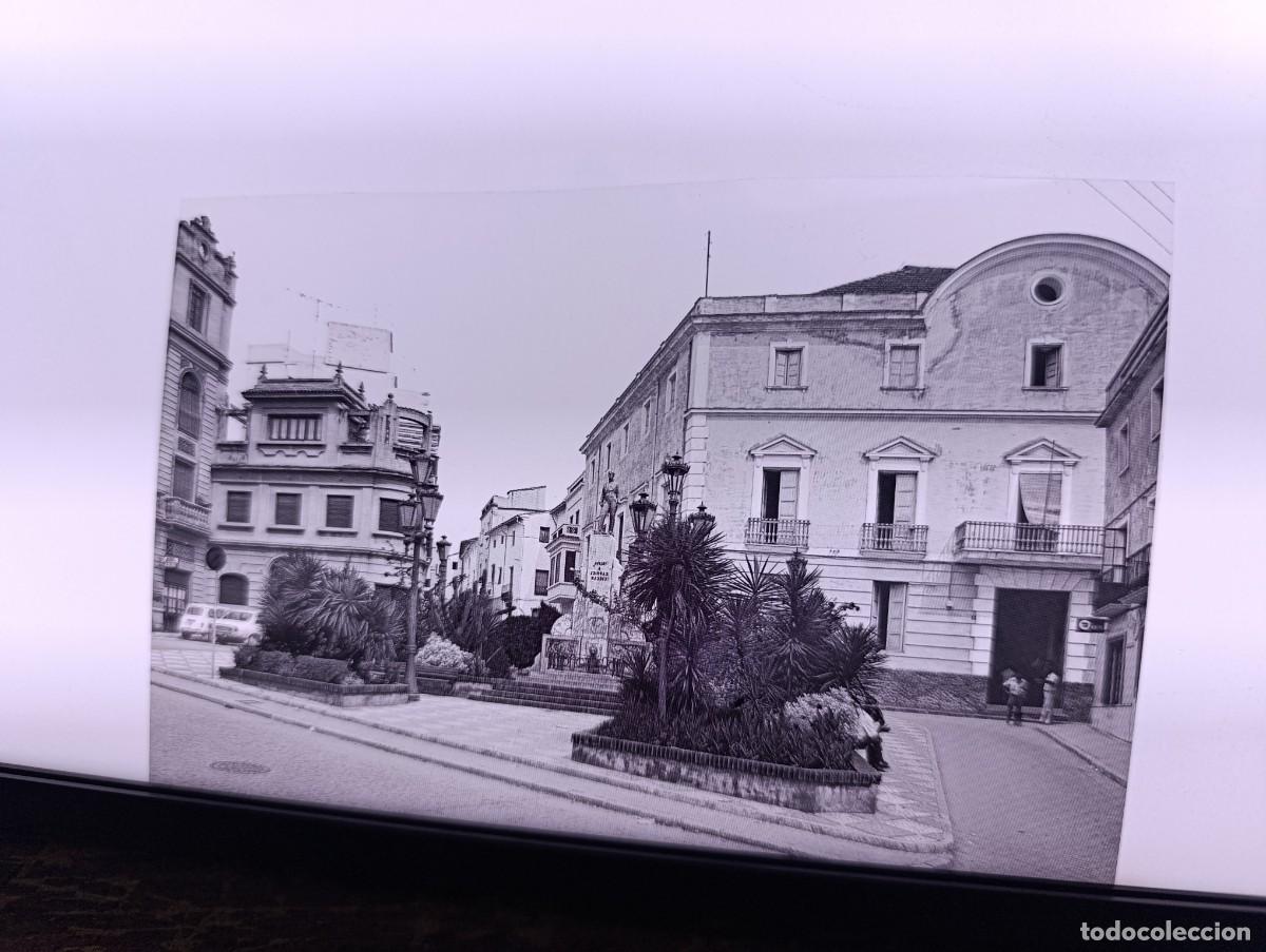 Fotograf&iacute;a antigua: Antiguo Negativo de Acetato, Oliva, unos 15 x 11 cms.