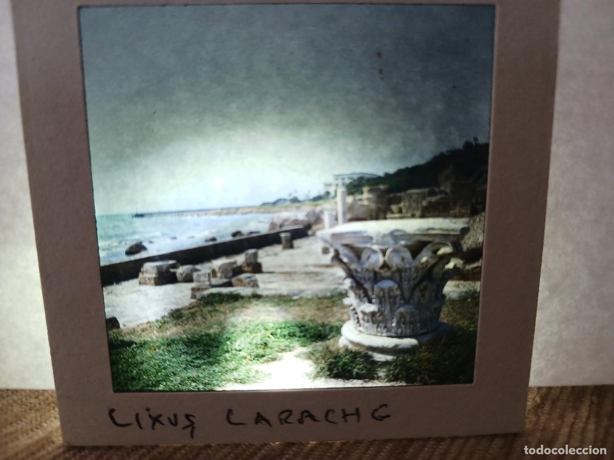 Fotograf&iacute;a antigua: antigua diapositiva 7 x 7 cm. ruinas de lixus, larache, marruecos