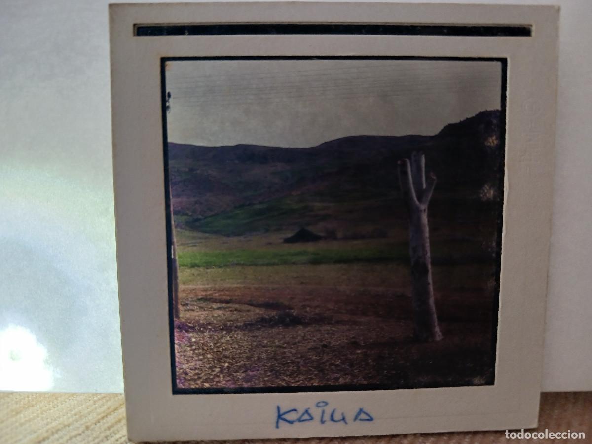 Fotograf&iacute;a antigua: antigua diapositiva 7 x 7 cm. paisaje de marruecos y haima