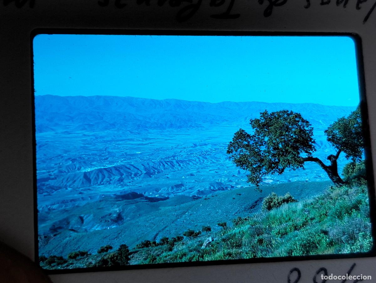 Fotograf&iacute;a antigua: TABERNAS ALMER&Iacute;A ANTIGUA DIAPOSITIVA