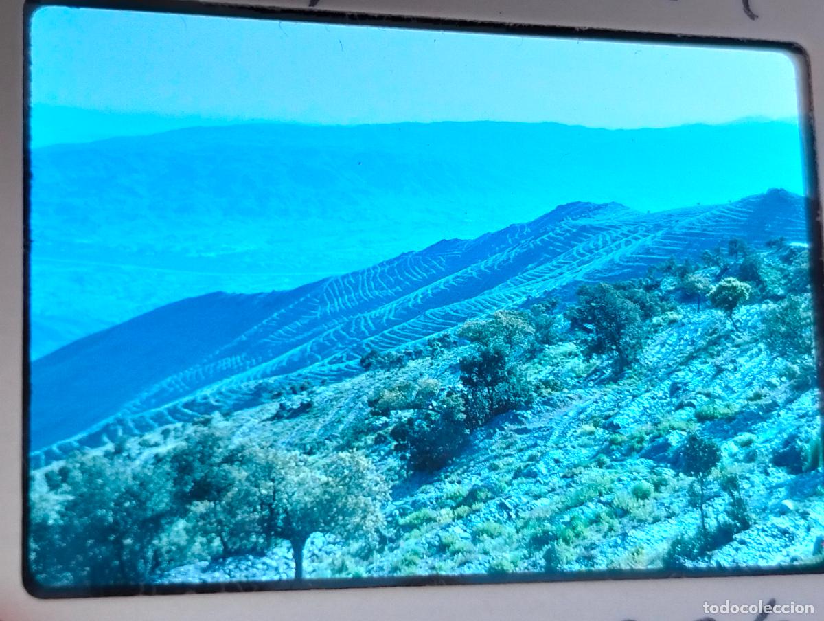 Fotograf&iacute;a antigua: SIERRA DE ALHAMILLA ALMER&Iacute;A ANTIGUA DIAPOSITIVA