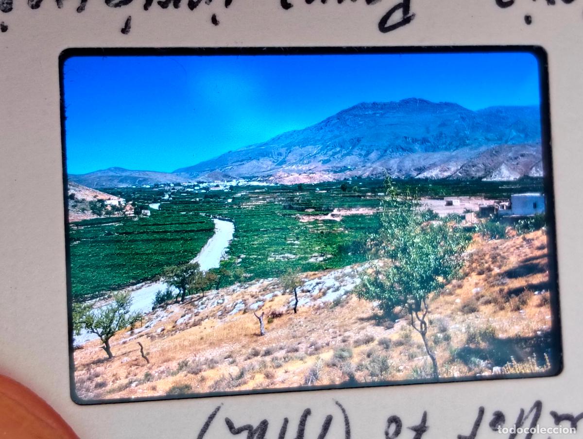 Fotograf&iacute;a antigua: BERJA ALMERIA ANTIGUA DIAPOSITIVA