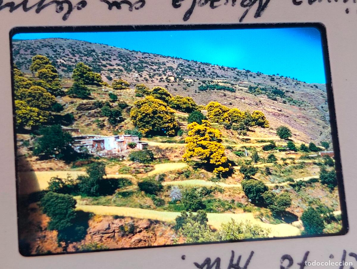 Fotograf&iacute;a antigua: LAUJAR ALMERIA ANTIGUA DIAPOSITIVA
