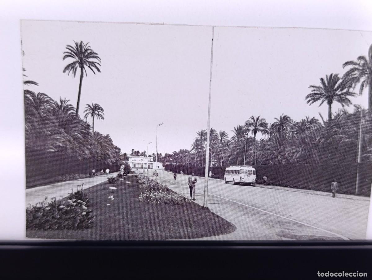 Antique Photography: Antiguo Negativo de Acetato, Elche, Alicante, unos 8 x 5 cms.