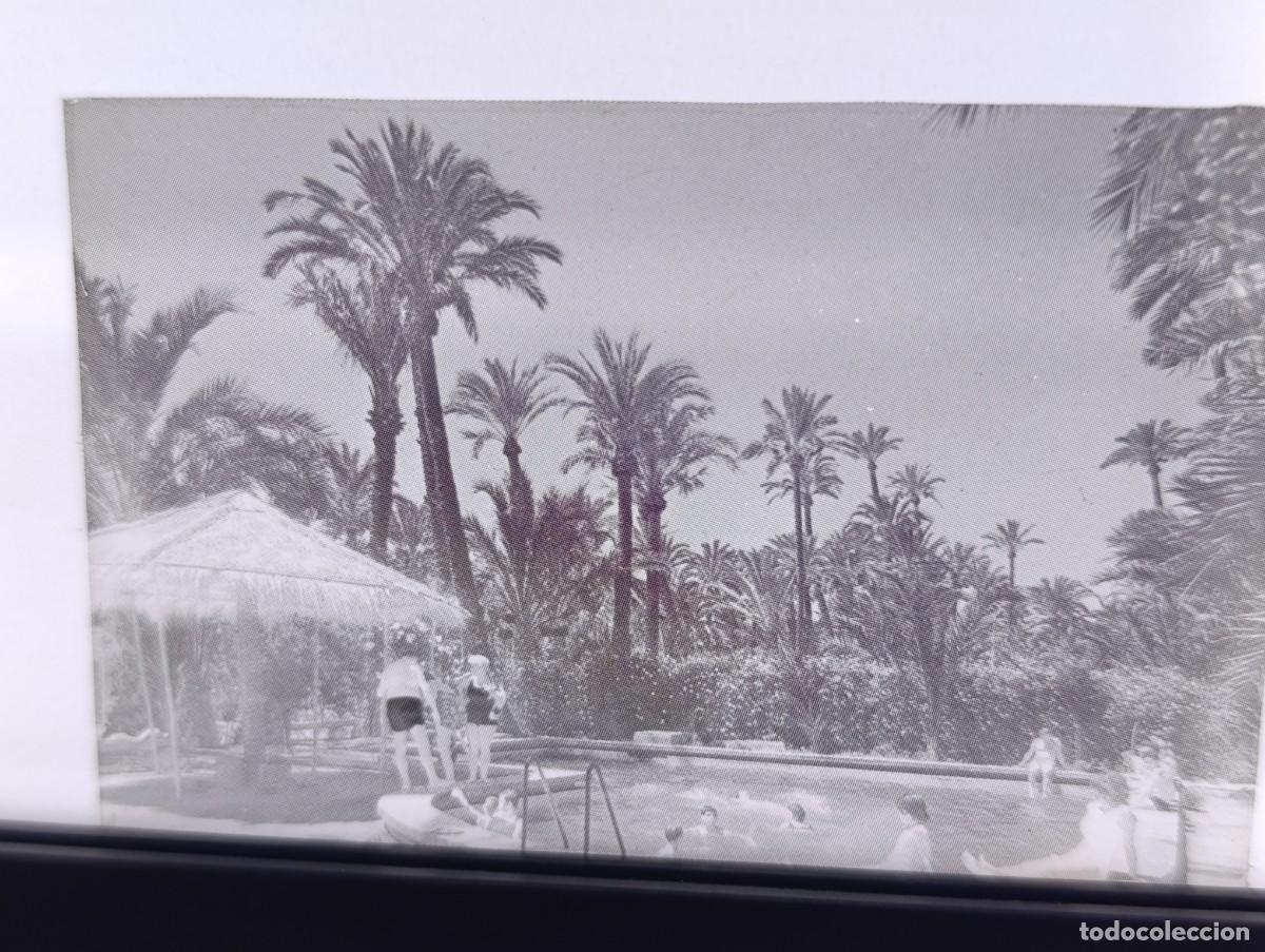 Fotograf&iacute;a antigua: Antiguo Negativo de Acetato, Elche, Alicante, unos 8 x 5 cms.