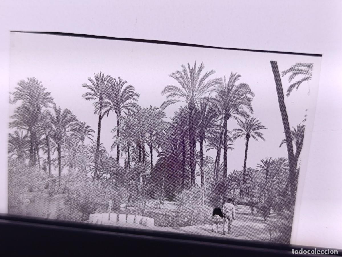 Fotograf&iacute;a antigua: Antiguo Negativo de Acetato, Elche, Alicante, unos 7 x 5 cms.
