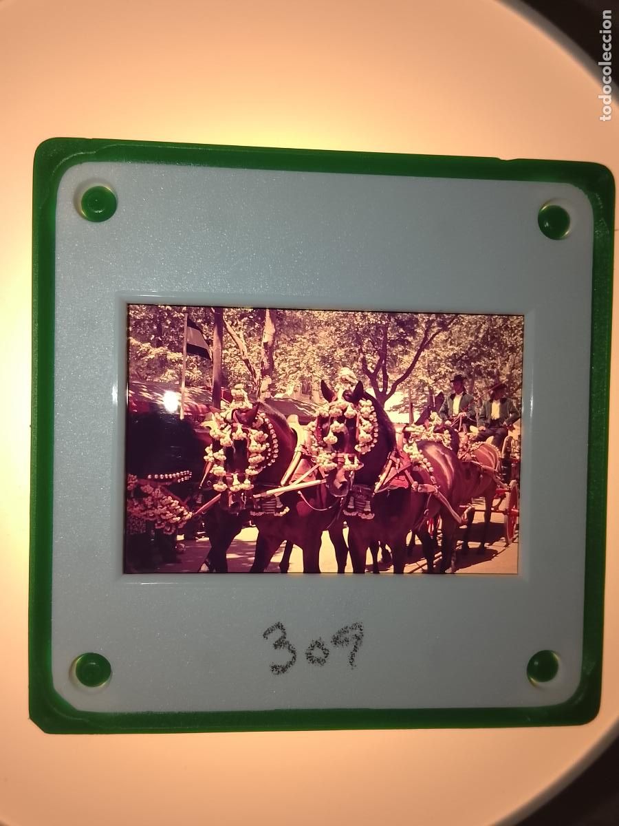 Fotograf&iacute;a antigua: DIAPOSITIVA A&Ntilde;Os 60s CADIZ JEREZ FERIA DEL CABALLO . RECINTO FERIAL COCHES DE CABALLOS