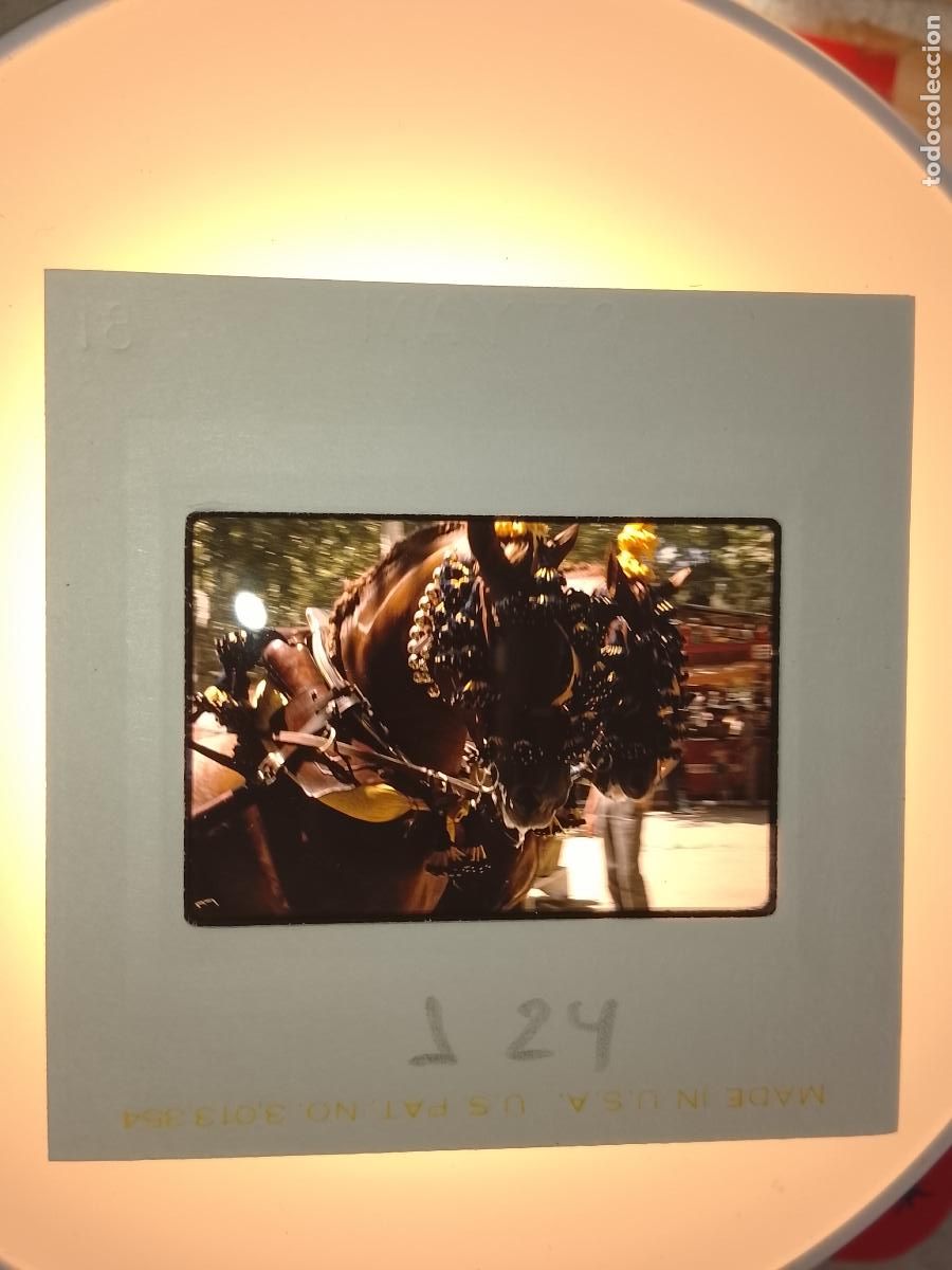 Fotograf&iacute;a antigua: DIAPOSITIVA A&Ntilde;O 1970 CADIZ JEREZ FERIA DEL CABALLO . RECINTO FERIAL COCHES DE CABALLOS