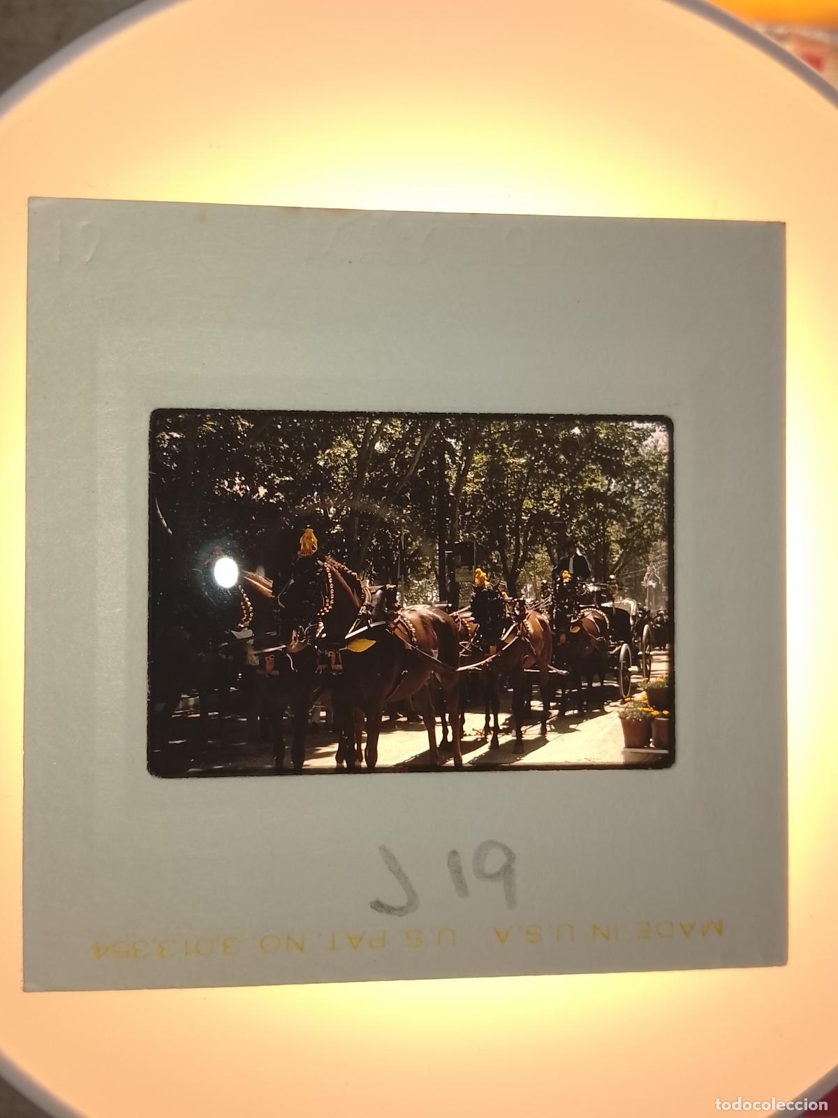 Fotograf&iacute;a antigua: DIAPOSITIVA A&Ntilde;O 1970 CADIZ JEREZ FERIA DEL CABALLO . RECINTO FERIAL COCHES DE CABALLOS