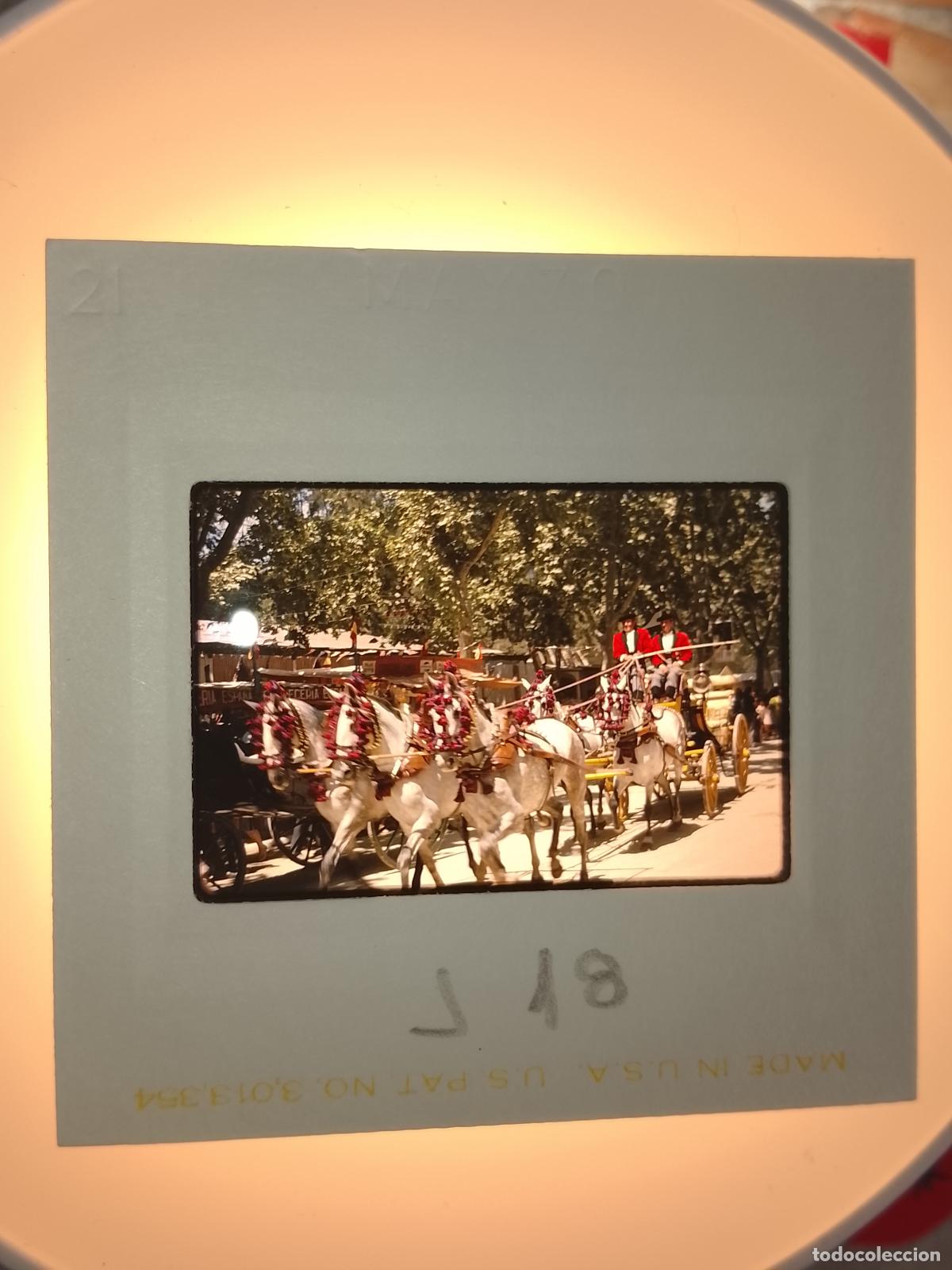 Fotograf&iacute;a antigua: DIAPOSITIVA A&Ntilde;O 1970 CADIZ JEREZ FERIA DEL CABALLO . RECINTO FERIAL COCHES DE CABALLOS