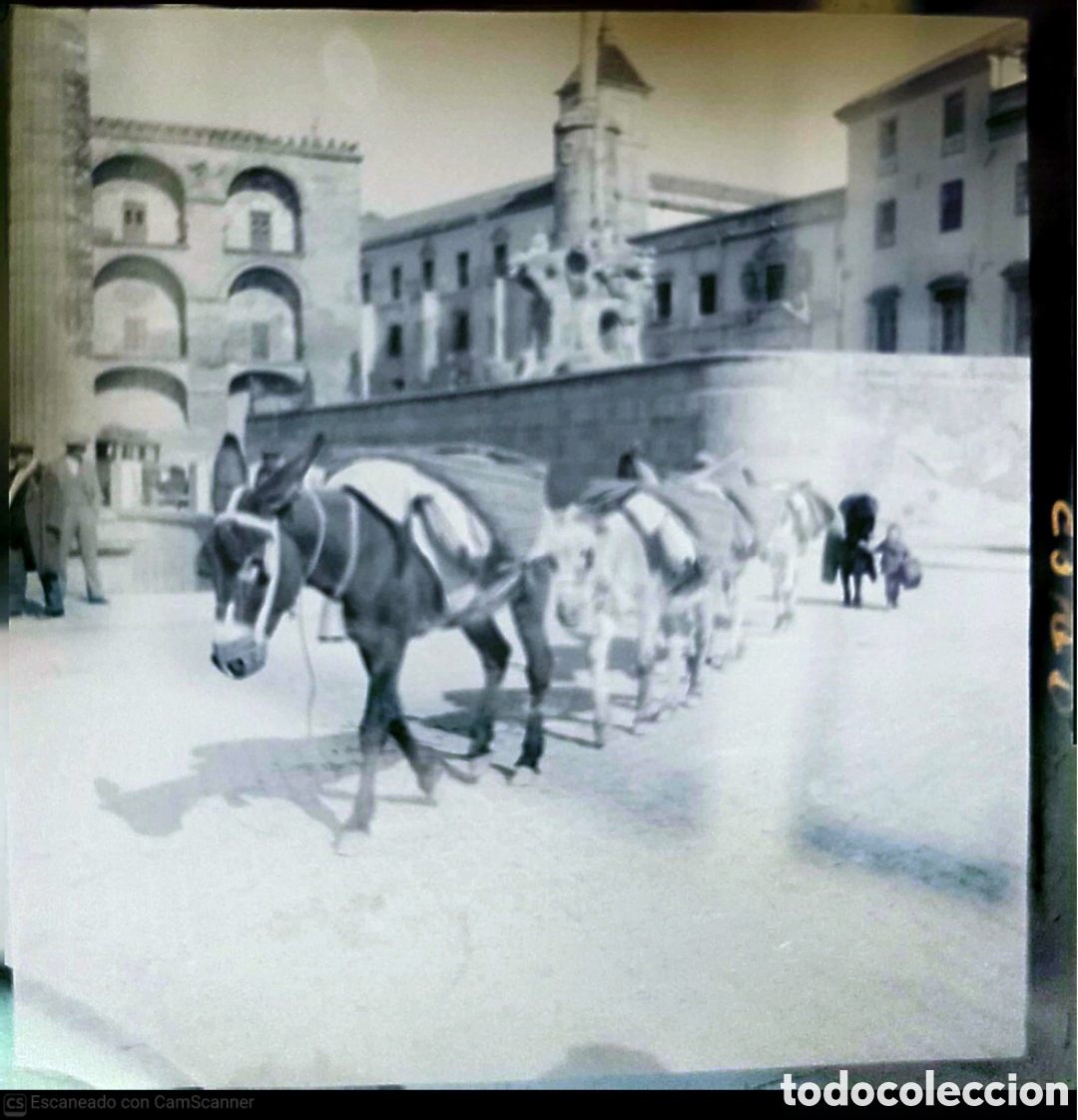 Fotograf&iacute;a antigua: CORDOBA, MAGNIFICA DIAPOSITIVA NEGATIVO ROLLFLEX 6 X 6 CM A&Ntilde;O 1937 Eleanor Parke Custis (1897-1983)