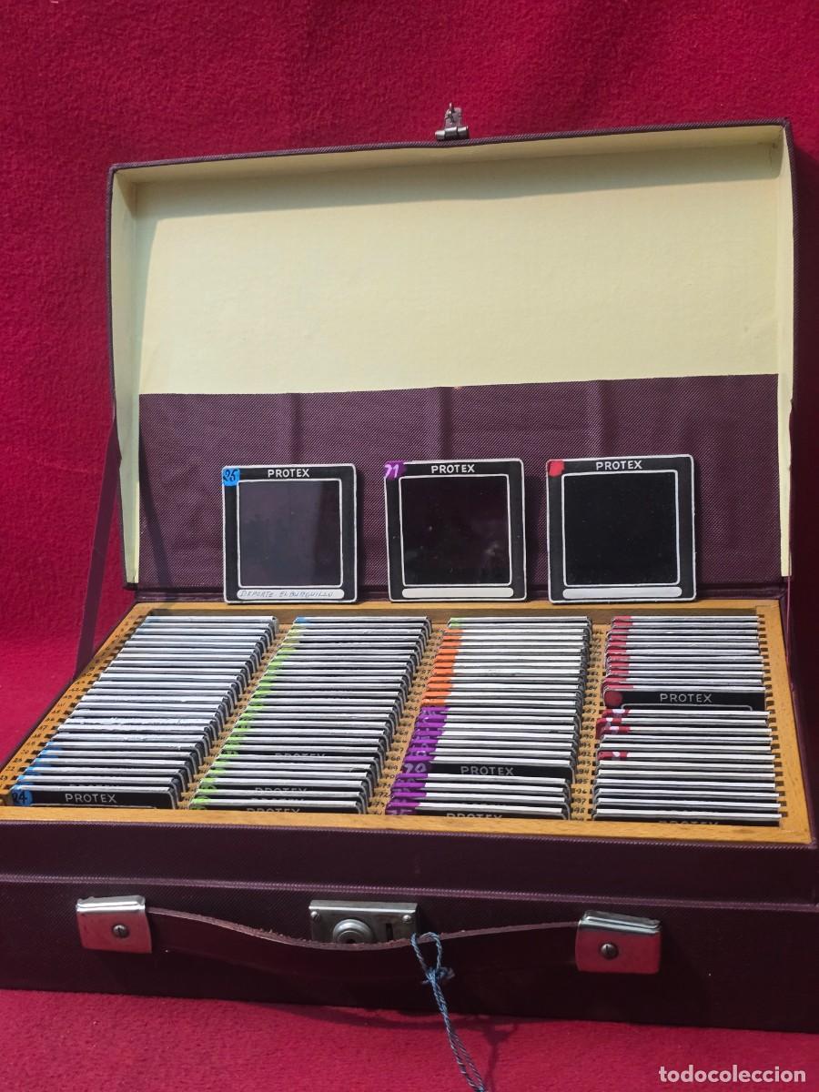 Fotograf&iacute;a antigua: CAJA CON 99 DIAPOSITIVAS PROTEX A&Ntilde;OS 60.