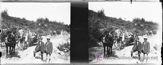 Photographie ancienne: TRANSPORTE ANIMAL FOTOS ESTEREOSCOPICAS ANTIGUAS