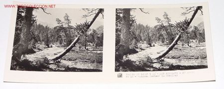 Fotografia antiga: ANTIGUA ESTEREOSCOPIA DE VALLES DE ESPOT Y DE SAN NICOLAU - PIRINEO DE LERIDA - MIDE 6X13 - 2&ordm; SERIE