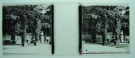Antique Photography: ANTIGUA FOTOGRAFIA ESTEREOSCOPICA DE CRISTAL - ESTEREOCOPIA - PARQUE - MIDE 10,5 X 4,5 CMS, TAL COMO